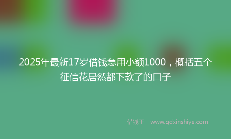 2025年最新17岁借钱急用小额1000，概括五个征信花居然都下款了的口子
