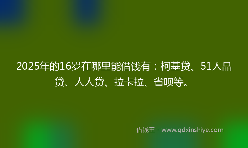 2025年的16岁在哪里能借钱有：柯基贷、51人品贷、人人贷、拉卡拉、省呗等。