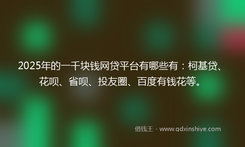 2025年的一千块钱网贷平台有哪些有：柯基贷、花呗、省呗、投友圈、百度有钱花等。