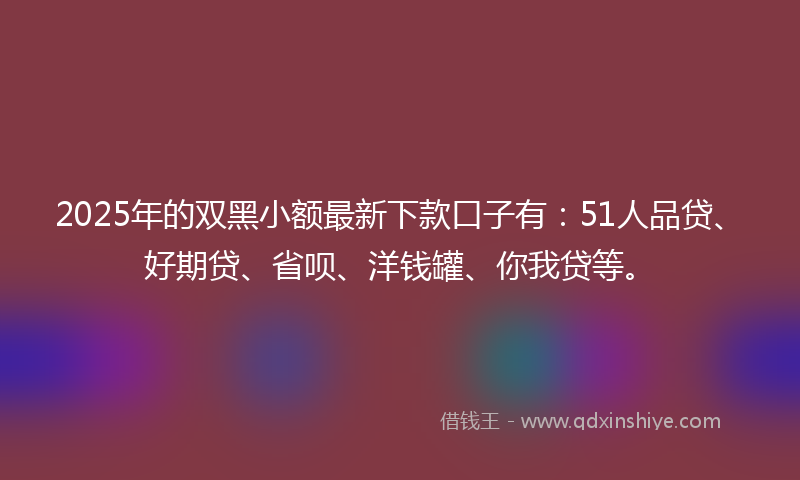 2025年的双黑小额最新下款口子有：51人品贷、好期贷、省呗、洋钱罐、你我贷等。