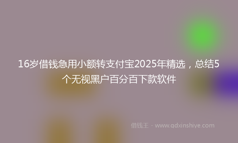 16岁借钱急用小额转支付宝2025年精选，总结5个无视黑户百分百下款软件