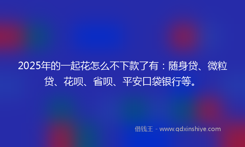 2025年的一起花怎么不下款了有：随身贷、微粒贷、花呗、省呗、平安口袋银行等。