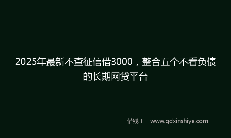 2025年最新不查征信借3000，整合五个不看负债的长期网贷平台
