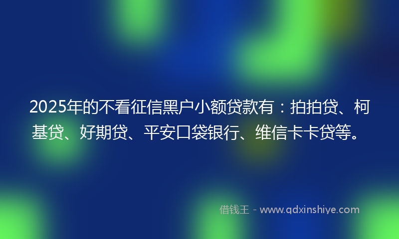 2025年的不看征信黑户小额贷款有：拍拍贷、柯基贷、好期贷、平安口袋银行、维信卡卡贷等。