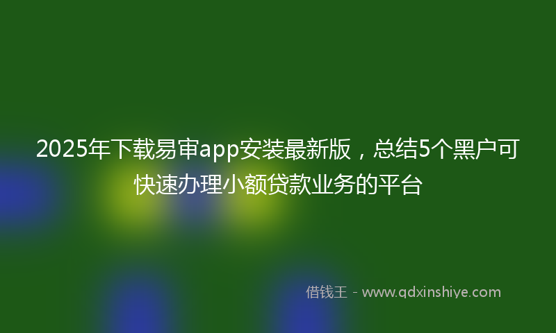 2025年下载易审app安装最新版，总结5个黑户可快速办理小额贷款业务的平台