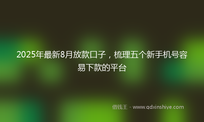 2025年最新8月放款口子，梳理五个新手机号容易下款的平台