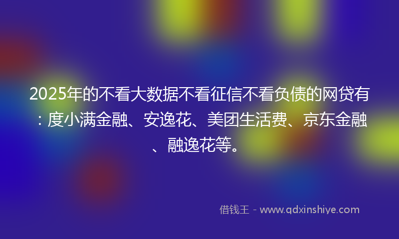 2025年的不看大数据不看征信不看负债的网贷有：度小满金融、安逸花、美团生活费、京东金融、融逸花等。