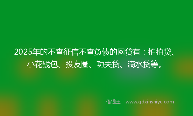 2025年的不查征信不查负债的网贷有：拍拍贷、小花钱包、投友圈、功夫贷、滴水贷等。