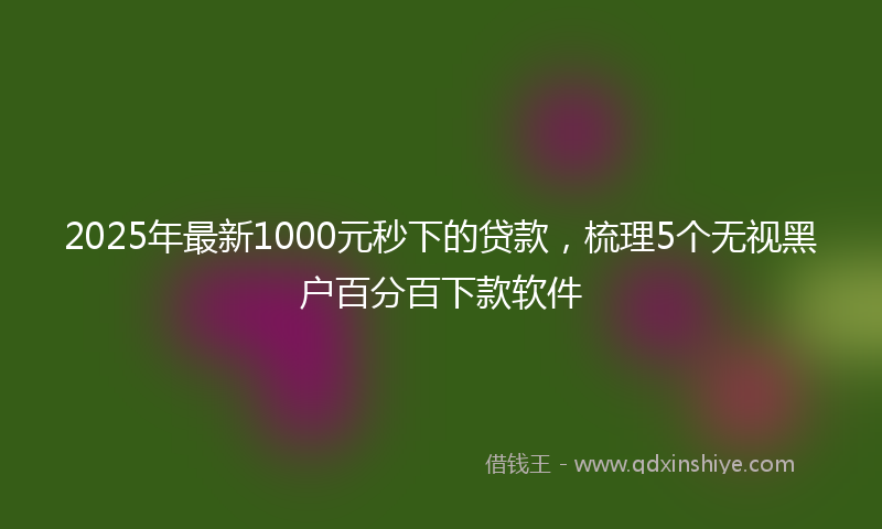 2025年最新1000元秒下的贷款，梳理5个无视黑户百分百下款软件