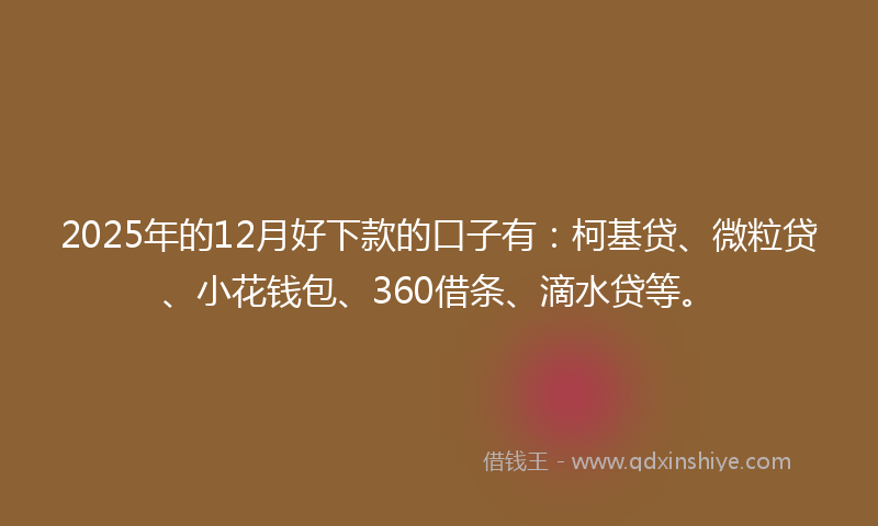 2025年的12月好下款的口子有：柯基贷、微粒贷、小花钱包、360借条、滴水贷等。