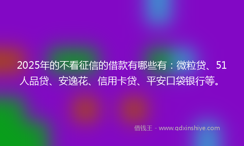 2025年的不看征信的借款有哪些有：微粒贷、51人品贷、安逸花、信用卡贷、平安口袋银行等。