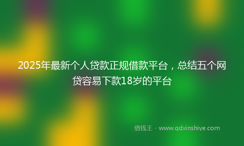 2025年最新个人贷款正规借款平台，总结五个网贷容易下款18岁的平台