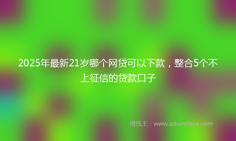 2025年最新21岁哪个网贷可以下款，整合5个不上征信的贷款口子