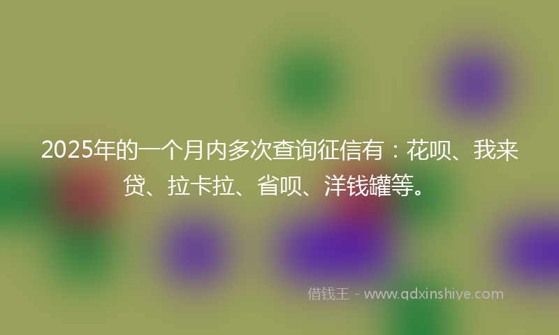 2025年的一个月内多次查询征信有：花呗、我来贷、拉卡拉、省呗、洋钱罐等。
