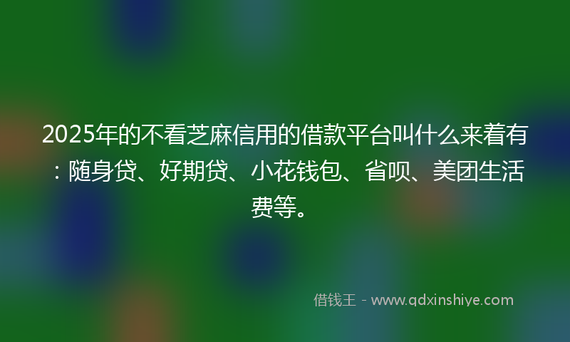 2025年的不看芝麻信用的借款平台叫什么来着有：随身贷、好期贷、小花钱包、省呗、美团生活费等。