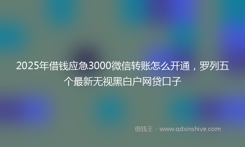 2025年借钱应急3000微信转账怎么开通，罗列五个最新无视黑白户网贷口子
