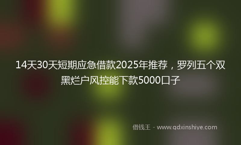 14天30天短期应急借款2025年推荐，罗列五个双黑烂户风控能下款5000口子