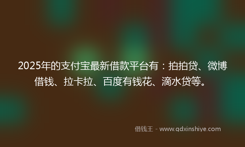 2025年的支付宝最新借款平台有：拍拍贷、微博借钱、拉卡拉、百度有钱花、滴水贷等。