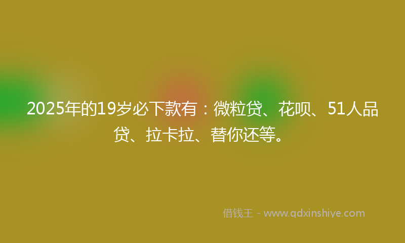 2025年的19岁必下款有：微粒贷、花呗、51人品贷、拉卡拉、替你还等。