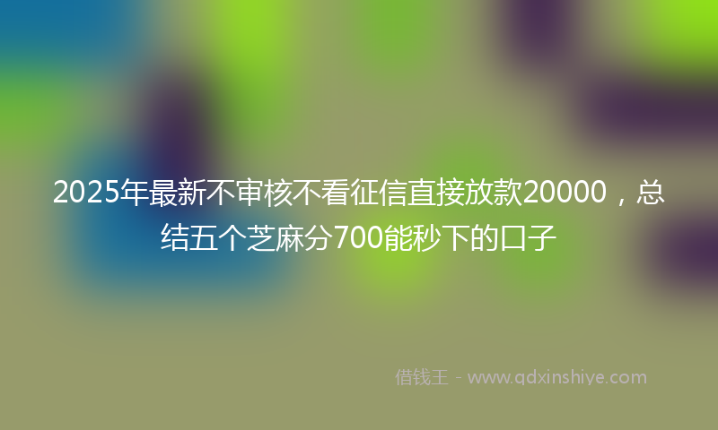 2025年最新不审核不看征信直接放款20000，总结五个芝麻分700能秒下的口子
