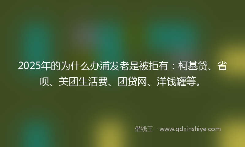 2025年的为什么办浦发老是被拒有：柯基贷、省呗、美团生活费、团贷网、洋钱罐等。