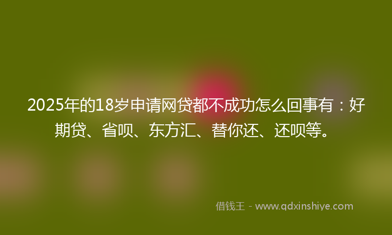 2025年的18岁申请网贷都不成功怎么回事有：好期贷、省呗、东方汇、替你还、还呗等。
