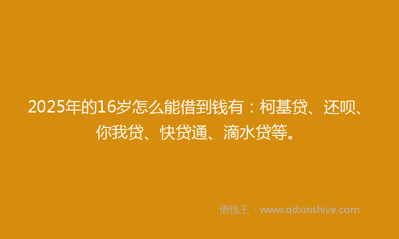 2025年的16岁怎么能借到钱有：柯基贷、还呗、你我贷、快贷通、滴水贷等。