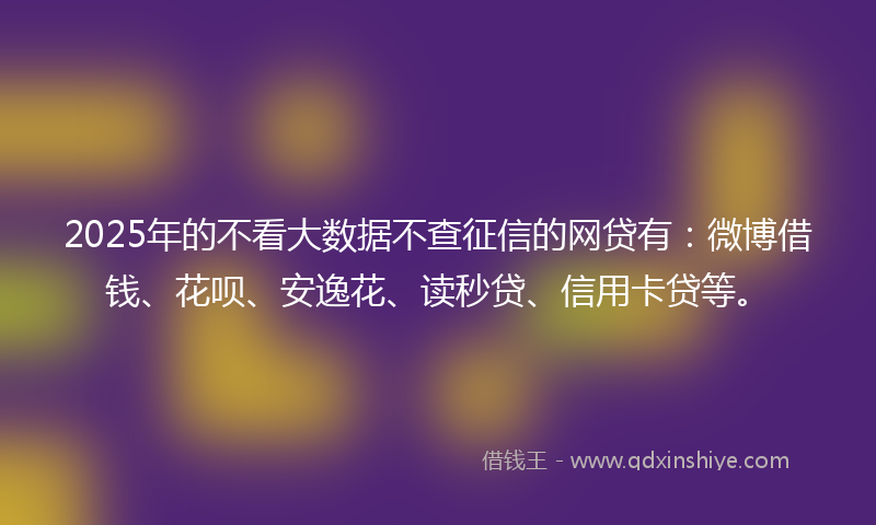 2025年的不看大数据不查征信的网贷有：微博借钱、花呗、安逸花、读秒贷、信用卡贷等。