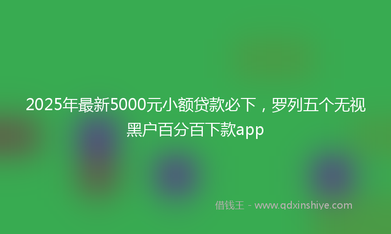 2025年最新5000元小额贷款必下，罗列五个无视黑户百分百下款app