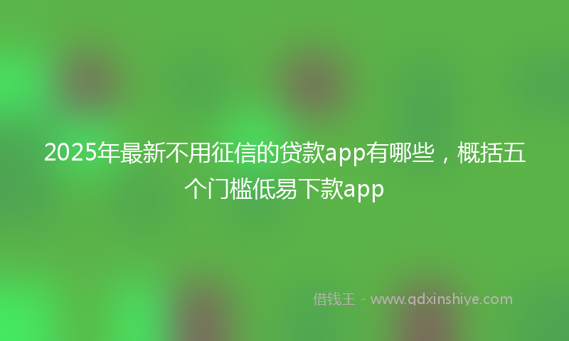 2025年最新不用征信的贷款app有哪些，概括五个门槛低易下款app