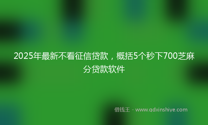 2025年最新不看征信贷款，概括5个秒下700芝麻分贷款软件