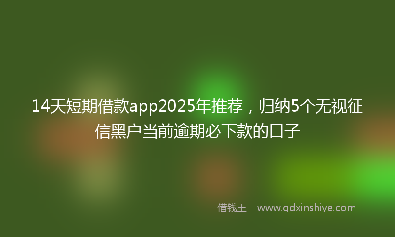 14天短期借款app2025年推荐，归纳5个无视征信黑户当前逾期必下款的口子