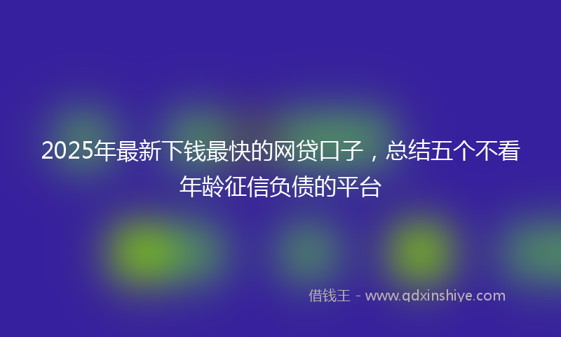 2025年最新下钱最快的网贷口子，总结五个不看年龄征信负债的平台