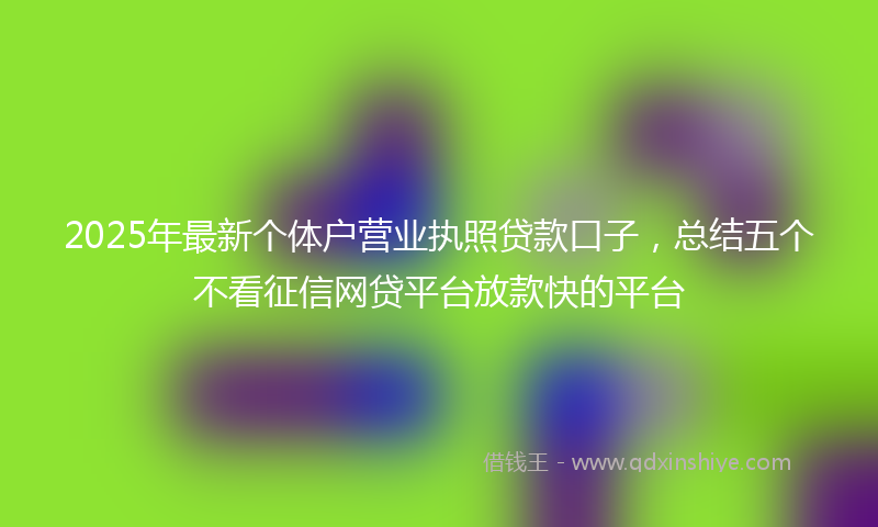 2025年最新个体户营业执照贷款口子，总结五个不看征信网贷平台放款快的平台
