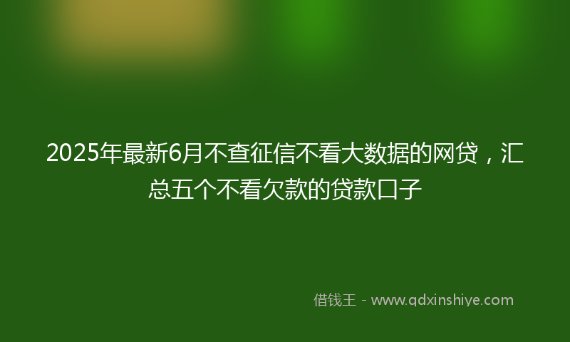 2025年最新6月不查征信不看大数据的网贷，汇总五个不看欠款的贷款口子