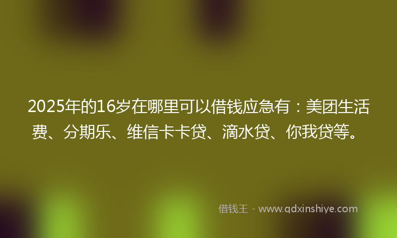 2025年的16岁在哪里可以借钱应急有：美团生活费、分期乐、维信卡卡贷、滴水贷、你我贷等。