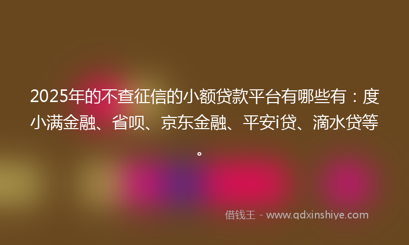 2025年的不查征信的小额贷款平台有哪些有：度小满金融、省呗、京东金融、平安i贷、滴水贷等。