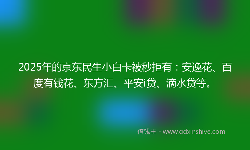 2025年的京东民生小白卡被秒拒有：安逸花、百度有钱花、东方汇、平安i贷、滴水贷等。