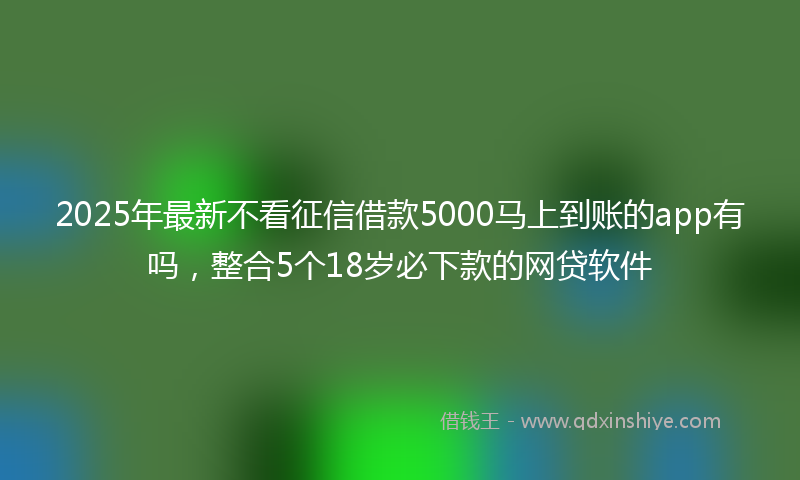 2025年最新不看征信借款5000马上到账的app有吗，整合5个18岁必下款的网贷软件