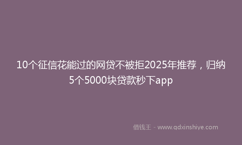 10个征信花能过的网贷不被拒2025年推荐，归纳5个5000块贷款秒下app