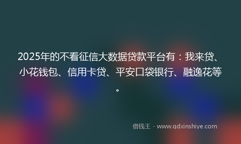 2025年的不看征信大数据贷款平台有：我来贷、小花钱包、信用卡贷、平安口袋银行、融逸花等。