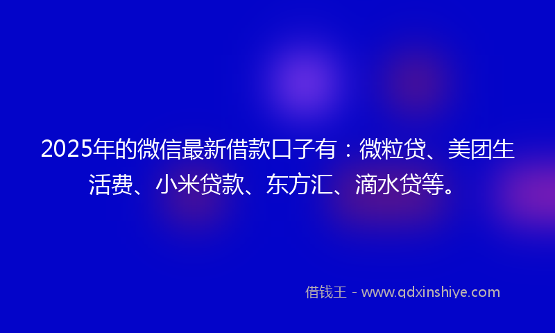 2025年的微信最新借款口子有：微粒贷、美团生活费、小米贷款、东方汇、滴水贷等。
