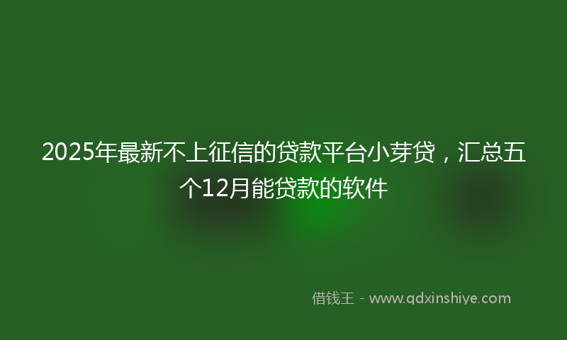 2025年最新不上征信的贷款平台小芽贷，汇总五个12月能贷款的软件