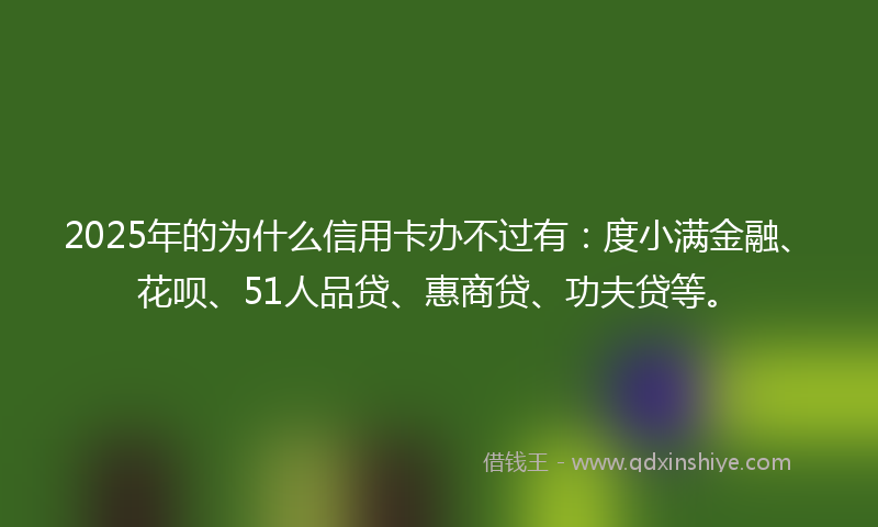 2025年的为什么信用卡办不过有：度小满金融、花呗、51人品贷、惠商贷、功夫贷等。