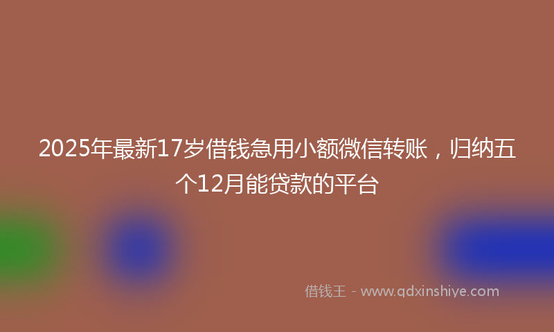 2025年最新17岁借钱急用小额微信转账，归纳五个12月能贷款的平台