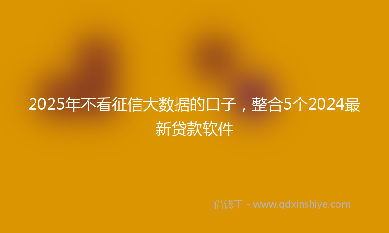 2025年不看征信大数据的口子，整合5个2024最新贷款软件