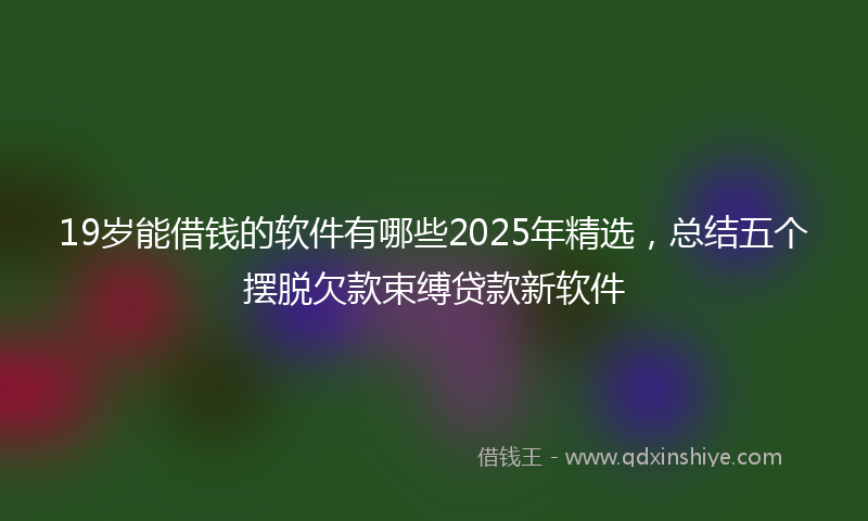 19岁能借钱的软件有哪些2025年精选，总结五个摆脱欠款束缚贷款新软件