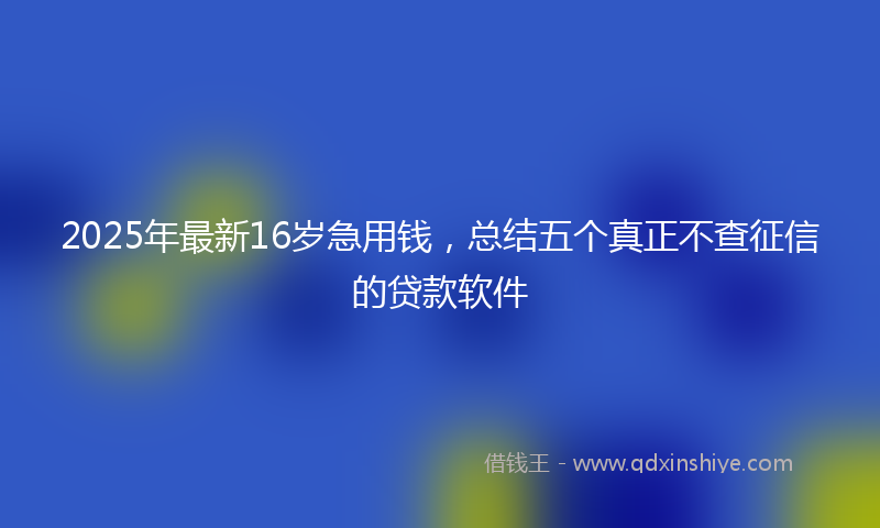 2025年最新16岁急用钱，总结五个真正不查征信的贷款软件