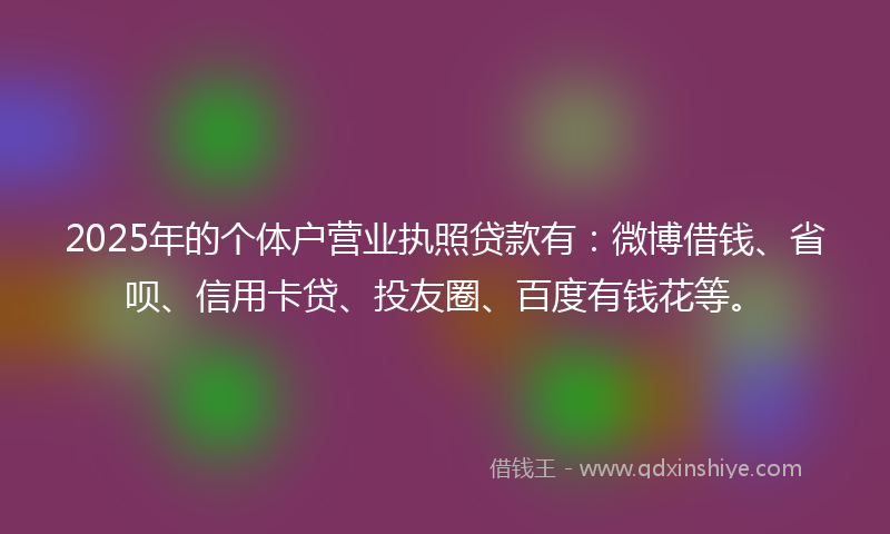 2025年的个体户营业执照贷款有：微博借钱、省呗、信用卡贷、投友圈、百度有钱花等。
