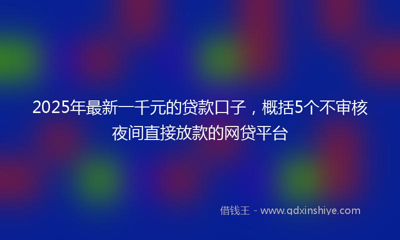 2025年最新一千元的贷款口子，概括5个不审核夜间直接放款的网贷平台